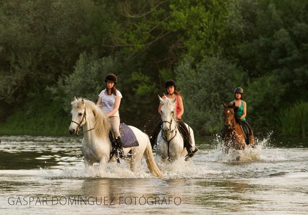 Complejo Oasis Beach Sobre El Rio Huerta  Eksteriør billede