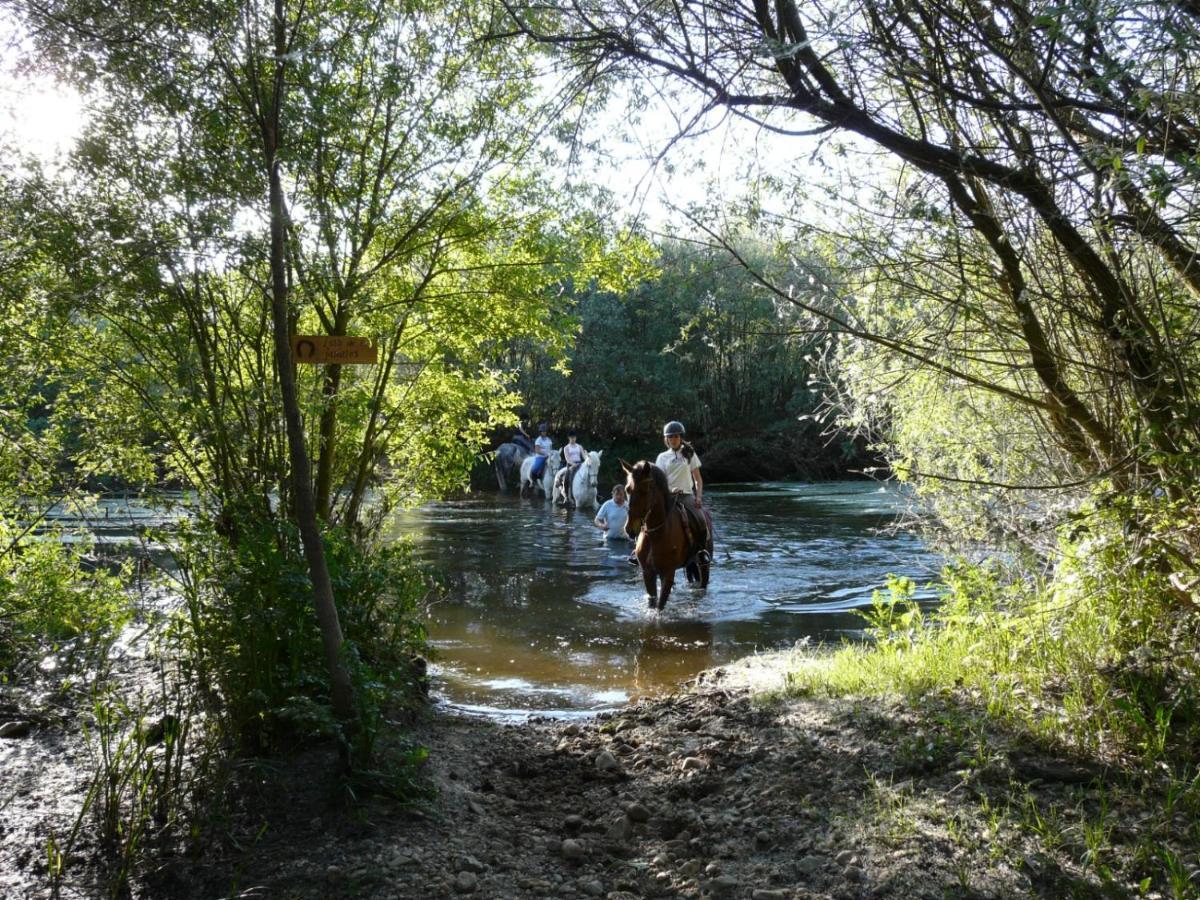 Complejo Oasis Beach Sobre El Rio Huerta  Eksteriør billede