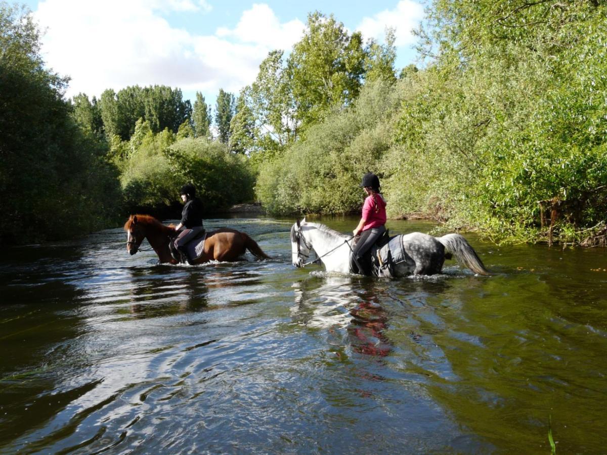 Complejo Oasis Beach Sobre El Rio Huerta  Eksteriør billede